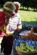 GolfRekord 2014