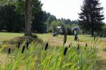 GolfRekord 2014