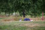 GolfRekord 2014